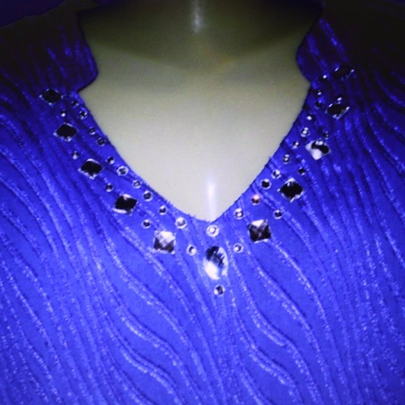 Valorie Stephens Blue LS Blouse Rhinestone Accents Sz 2X - Picture 3 of 6